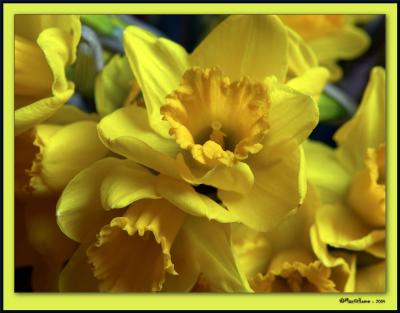 u42/max_at_home/medium/27381760.0483PSEENHcropframednewtxt.jpg