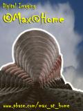 Max@Home-new avatar-2.jpg