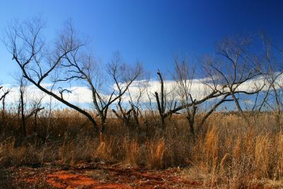 Red Earth with Blue Sky.jpg