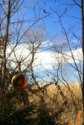 Pan and Tree.jpg