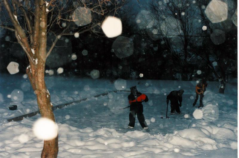 backyard rink