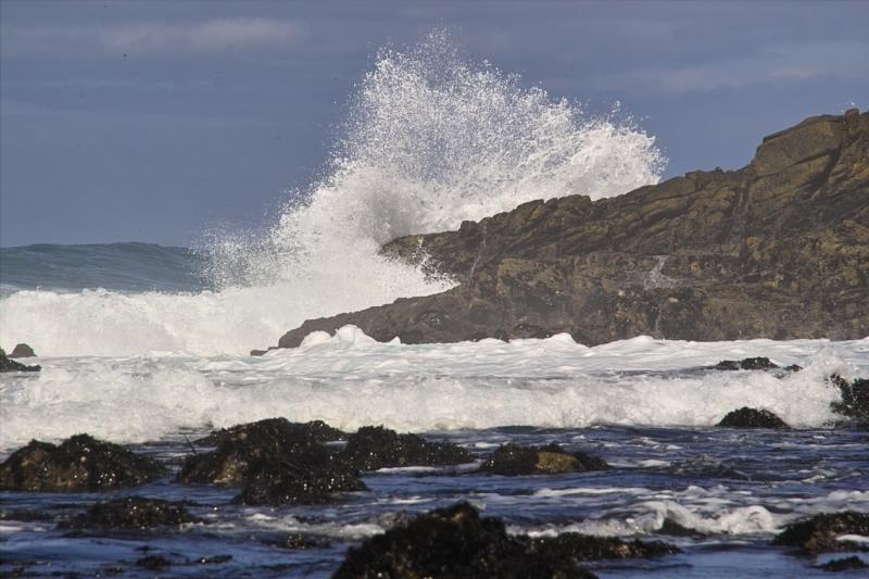 17 Mile Drive