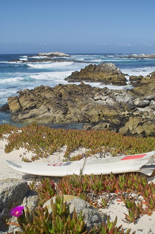 17 Mile Drive