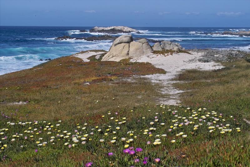 17 Mile Drive