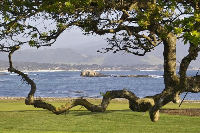 17 Mile Drive