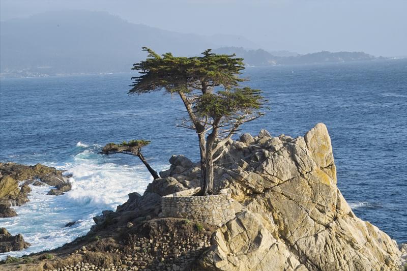 17 Mile Drive