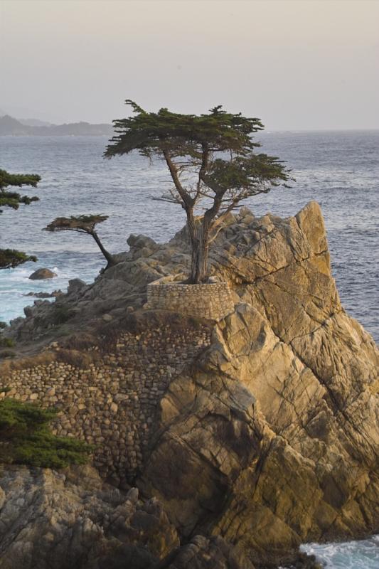 17 Mile Drive