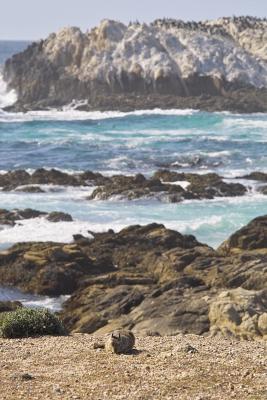 17 Mile Drive