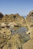 17 Mile Drive