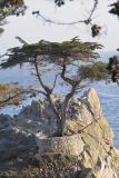 17 Mile Drive