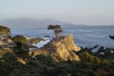 17 Mile Drive