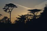 17 Mile Drive