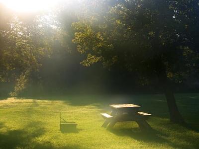 Misty Picnic Table