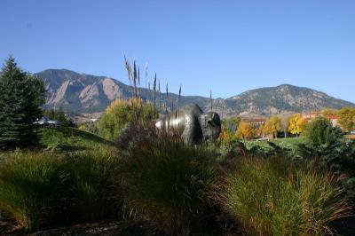 IMG_1766.JPG
