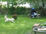 Chasing Chelle on her motorcycle - May 2002