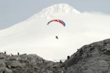 Anartica Glider