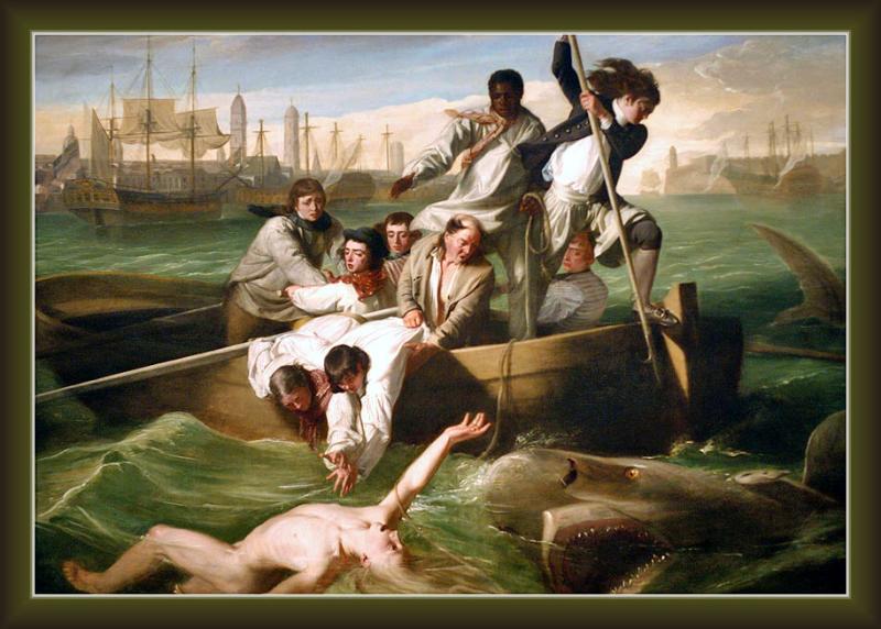Dangers of Whale Hunting