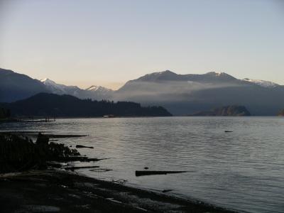 fog on the mountains