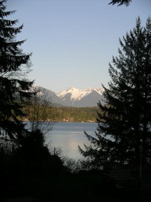 the view