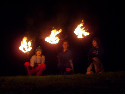 The Flaming Daisies.jpg