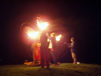 daisies lighting.jpg