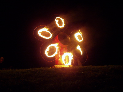 flower burns.jpg