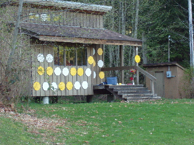 reflection camp.jpg