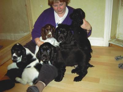 Puppy Pile.jpg
