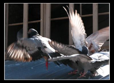 Landing and Taking Off