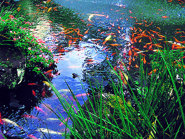 P9026289a.jpg
