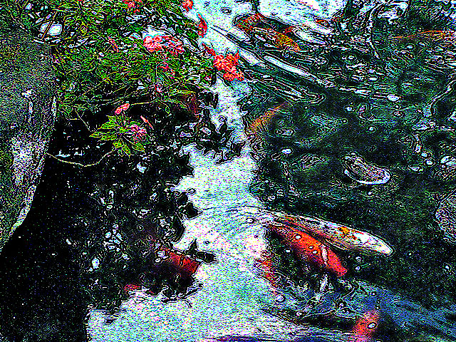 P9026296a.jpg