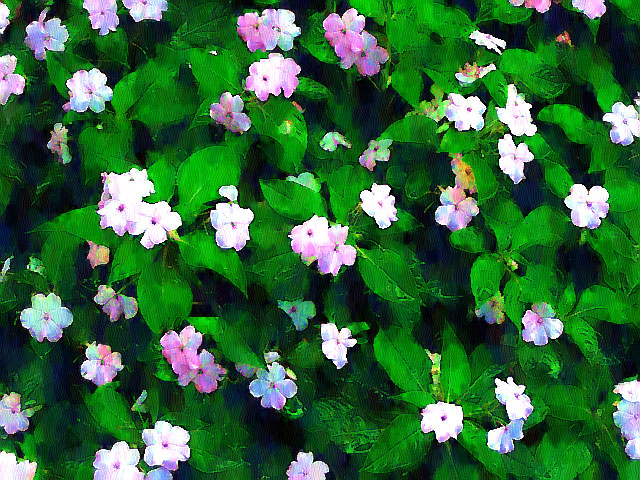 P9026299a.jpg