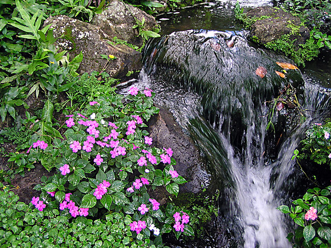 P9026301.jpg