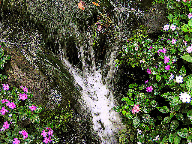 P9026305b.jpg