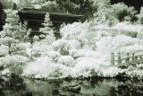 Hakone Garden Revisited (reprocessed)