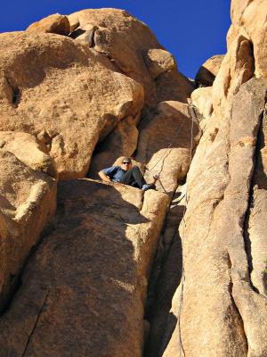 JTree Climbing