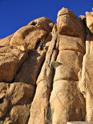 JTree Climbing