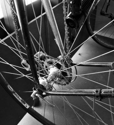 Gear