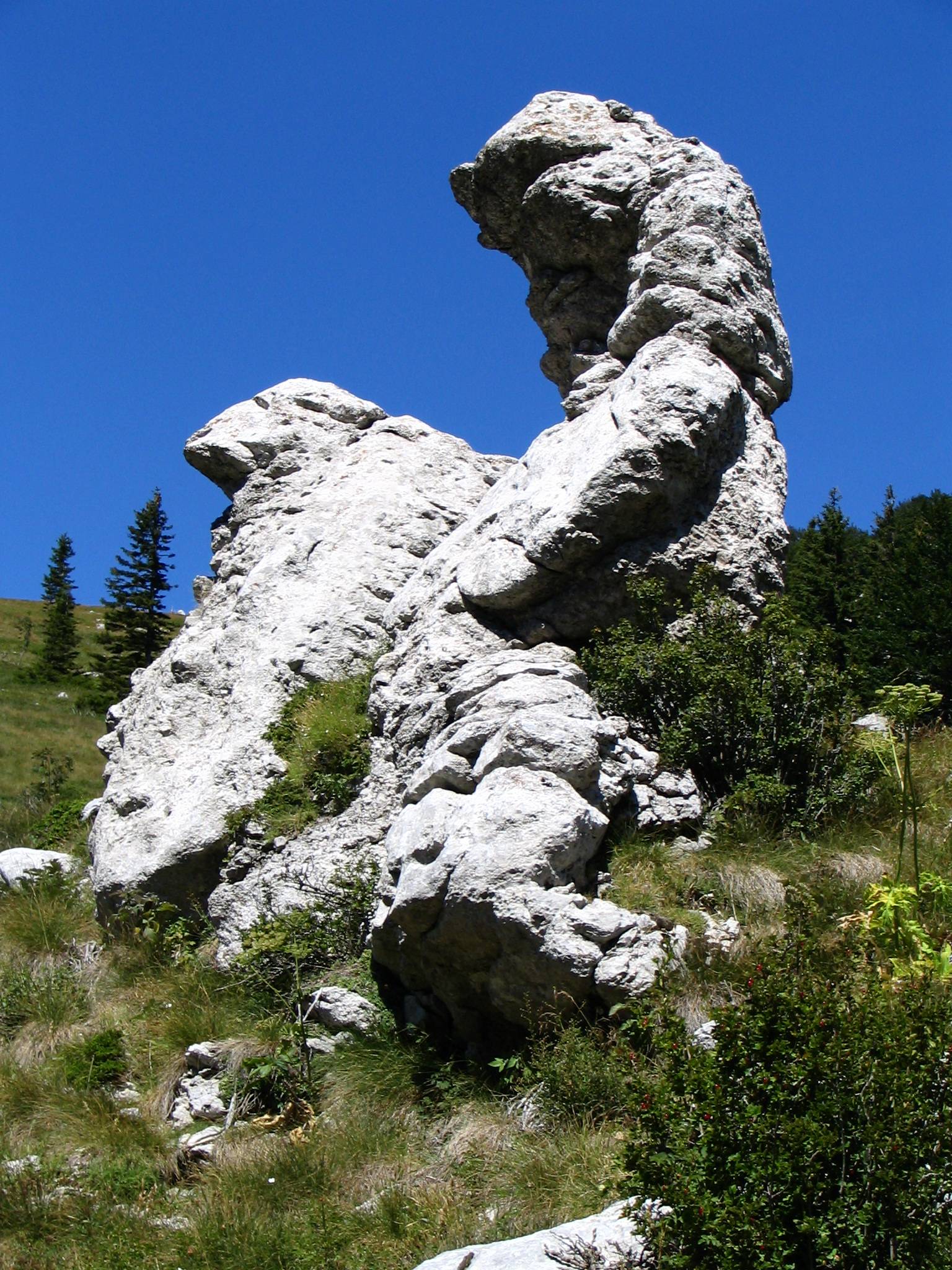 Rock on Velebit - Croatia.jpg