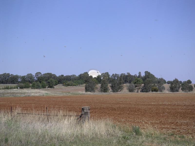 In a sheep paddock