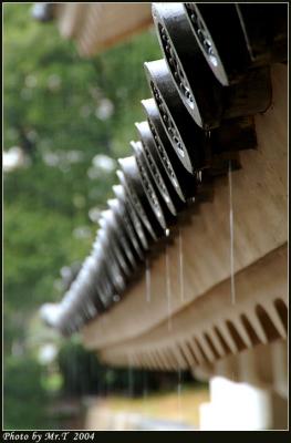 Crop_DSCF5013.jpg
