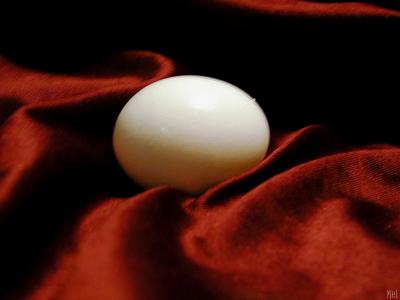Egg on red satin.jpg (9/23)(501)