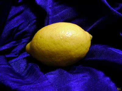 Lemon on purple satin.jpg (9/22)(442)