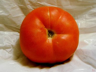 Tomato on white.jpg (9/21)(612)