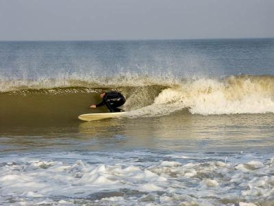 u42/mtf_foto_studies/medium/27404595.SurferDude.jpg