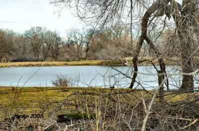 'iced over fishing pond ... '