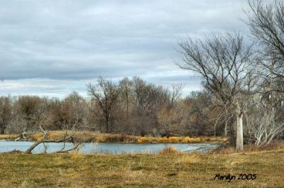 'last look at the pond ... '