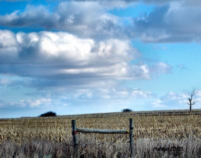 'field boundryline ... '