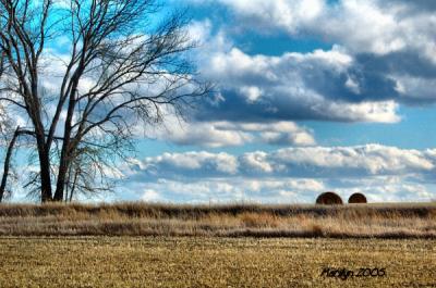 'forgotten stacks of hay ... '