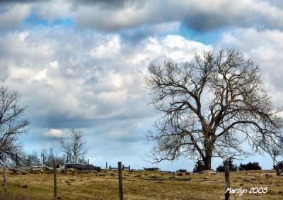 'falling sky ... '